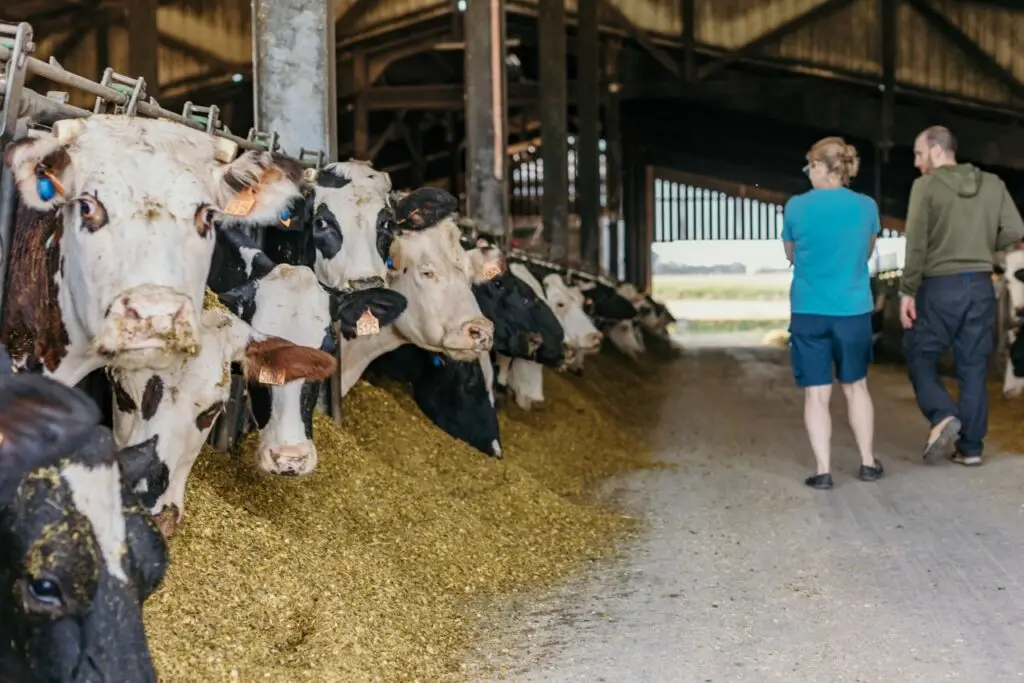 La ferme des noisetiers - Une ferme familiale depuis 1945