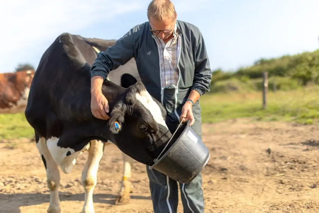 La ferme des noisetiers - Une ferme familiale depuis 1945